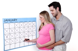 pregnancy-calendar